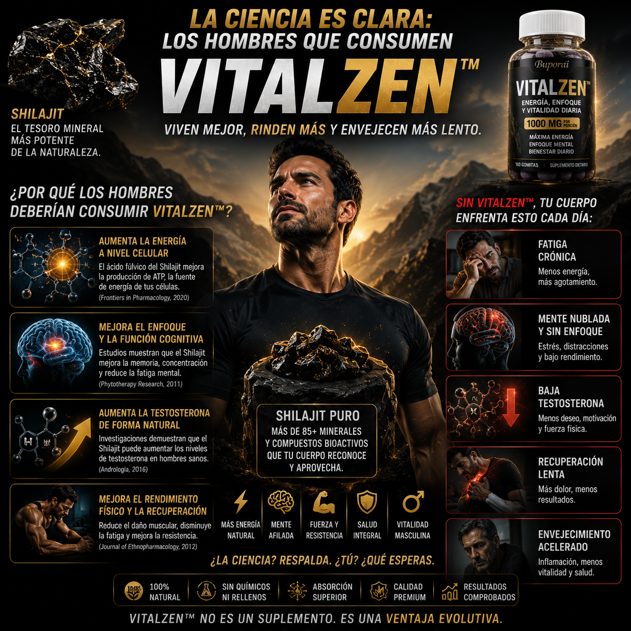 VitalZen™ - Energía, enfoque y vitalidad diaria